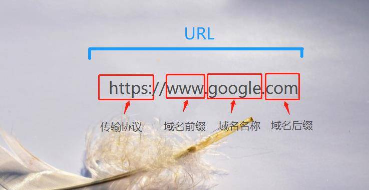 URL网址与域名的关系
