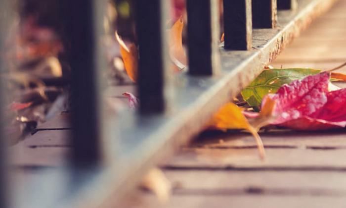 WordPress上传主题和插件时提示：Warning:发生了预料之外的错误…