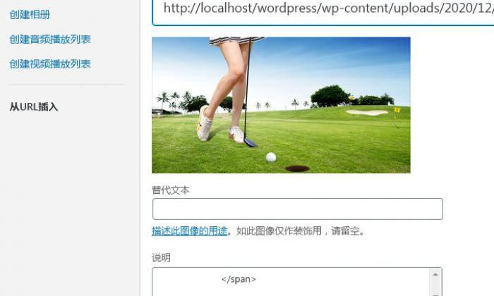 解决WordPress5.6“从URL插入”图片BUG