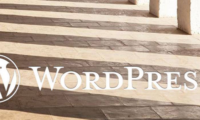 WordPress发表评论只需输入评论者名称