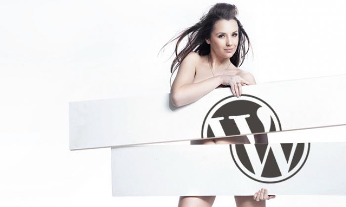 WordPress评论中嵌入图片