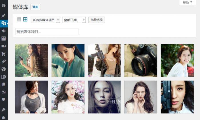 WordPress媒体库无法显示图片