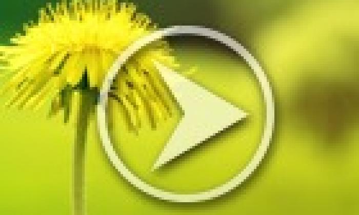 《利用WordPress短代码插入无广告的优酷视频》修正版