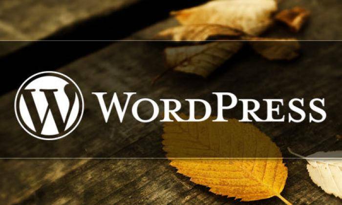 WordPress：检查用户是否登录