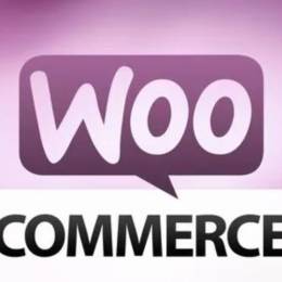 WooCommerce随机展示一些五星评级的产品评论