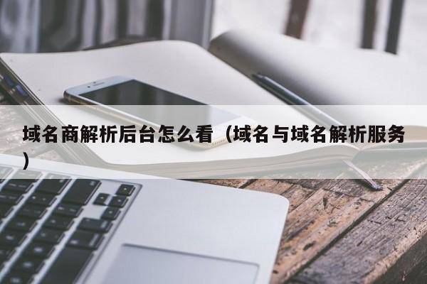 域名商解析后台怎么看（域名与域名解析服务）