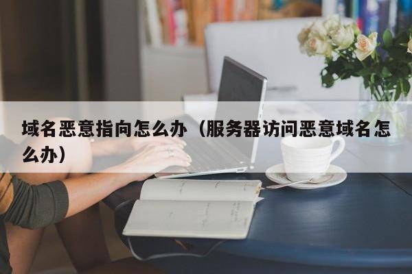 域名恶意指向怎么办（服务器访问恶意域名怎么办）