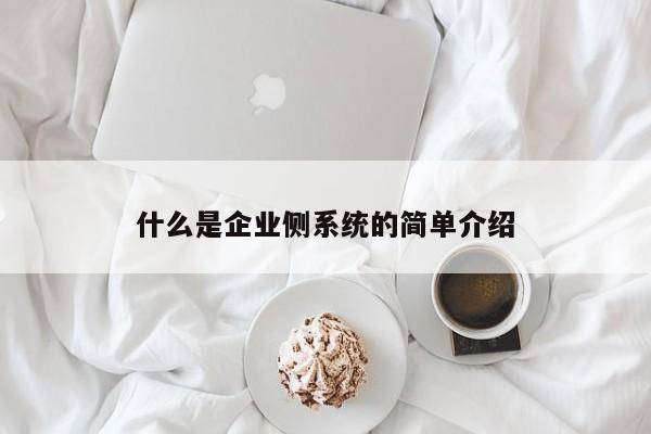什么是企业侧系统的简单介绍