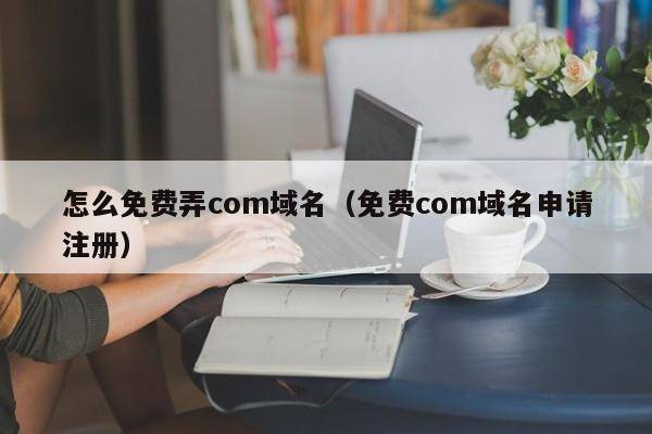 怎么免费弄com域名（免费com域名申请注册）