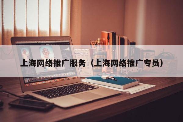 上海网络推广服务（上海网络推广专员）