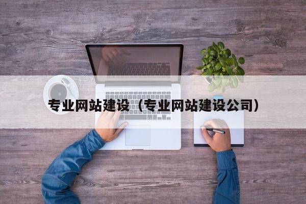 专业网站建设（专业网站建设公司）