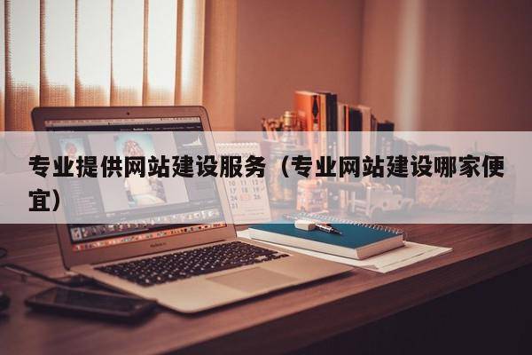 专业提供网站建设服务（专业网站建设哪家便宜）