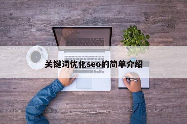 关键词优化seo的简单介绍