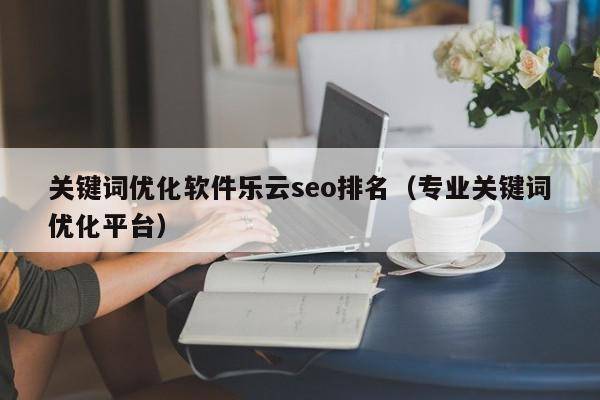 关键词优化软件乐云seo排名（专业关键词优化平台）