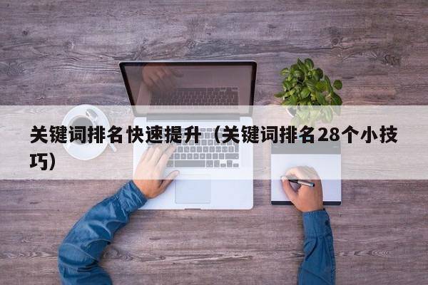关键词排名快速提升（关键词排名28个小技巧）