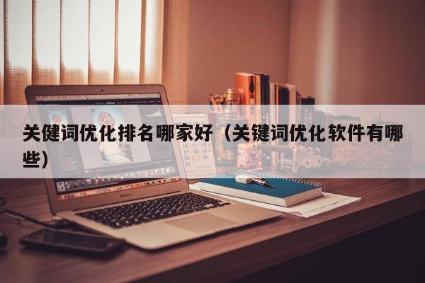 关健词优化排名哪家好（关键词优化软件有哪些）