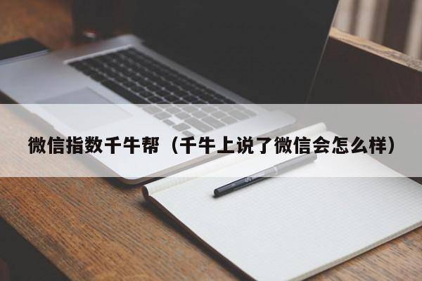 微信指数千牛帮（千牛上说了微信会怎么样）