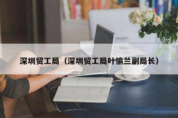深圳贸工局（深圳贸工局叶愉兰副局长）