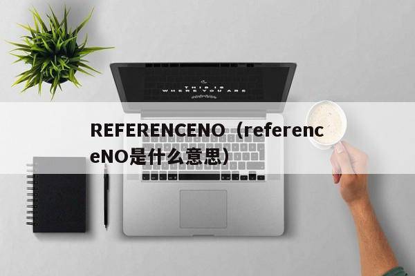 REFERENCENO（referenceNO是什么意思）