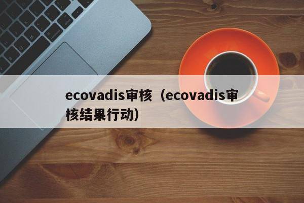 ecovadis审核（ecovadis审核结果行动）