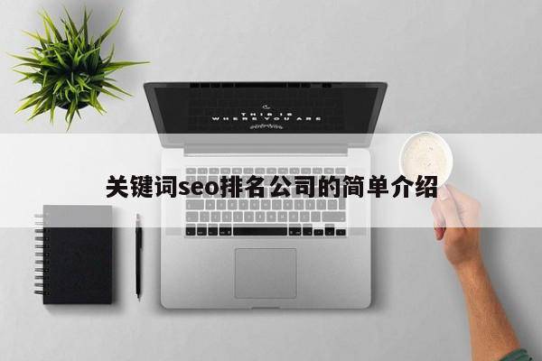 关键词seo排名公司的简单介绍