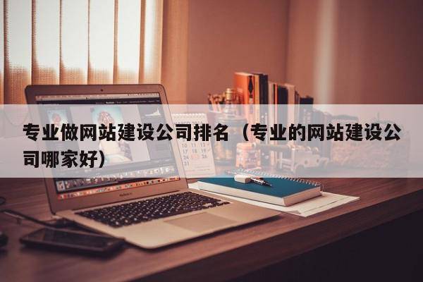 专业做网站建设公司排名（专业的网站建设公司哪家好）