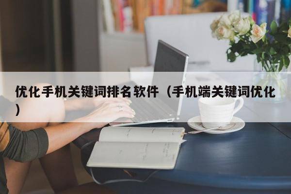 优化手机关键词排名软件（手机端关键词优化）