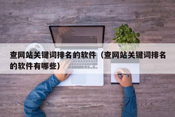 查网站关键词排名的软件（查网站关键词排名的软件有哪些）