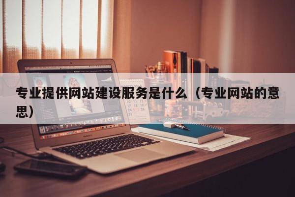 专业提供网站建设服务是什么（专业网站的意思）