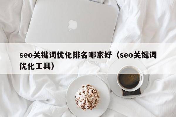 seo关键词优化排名哪家好（seo关键词优化工具）