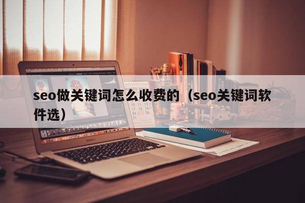 seo做关键词怎么收费的（seo关键词软件选）