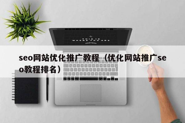 seo网站优化推广教程（优化网站推广seo教程排名）