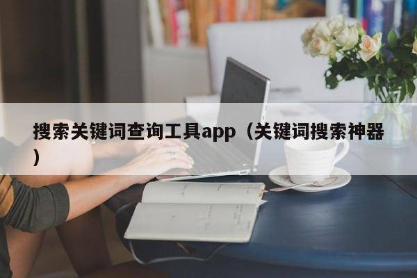 搜索关键词查询工具app（关键词搜索神器）