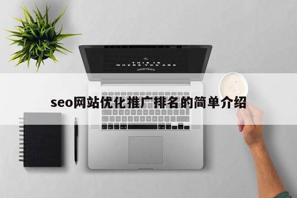 seo网站优化推广排名的简单介绍