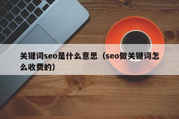 关键词seo是什么意思（seo做关键词怎么收费的）
