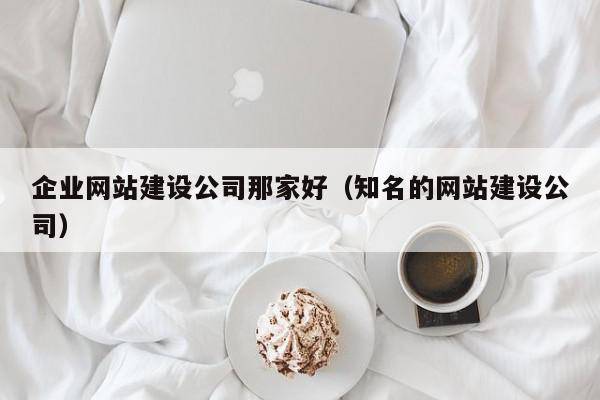 企业网站建设公司那家好（知名的网站建设公司）