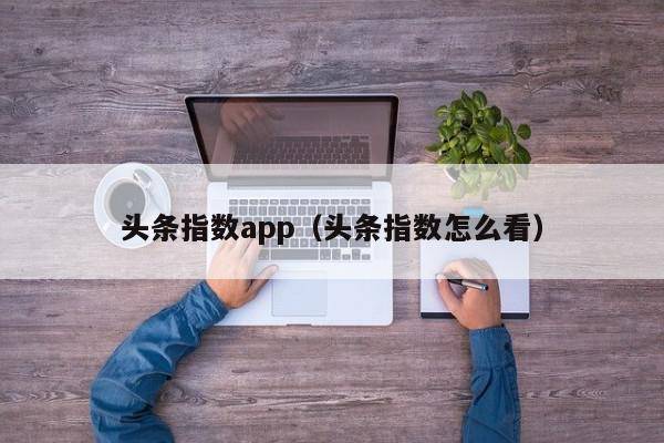 头条指数app（头条指数怎么看）