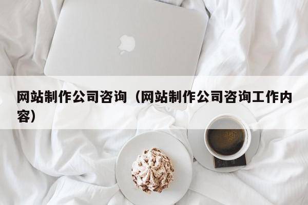 网站制作公司咨询（网站制作公司咨询工作内容）