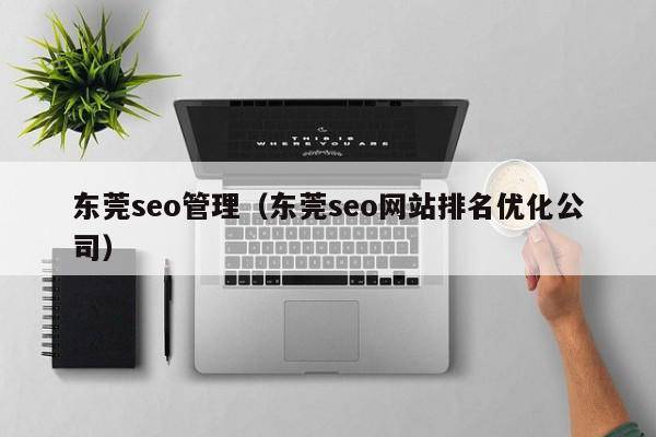 东莞seo管理（东莞seo网站排名优化公司）