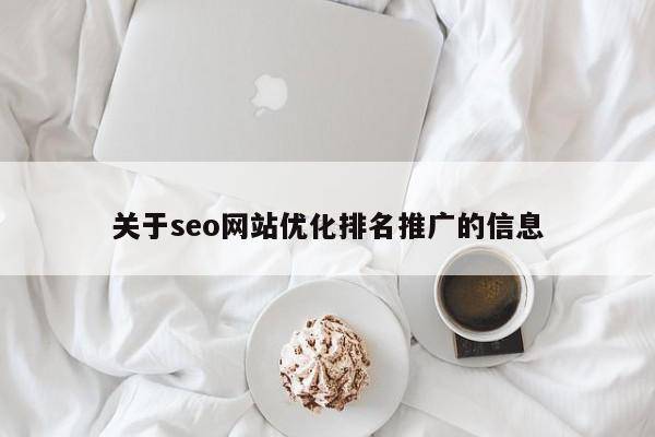关于seo网站优化排名推广的信息
