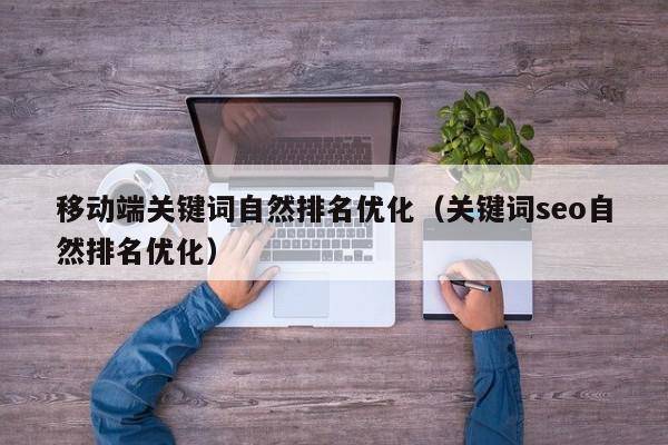 移动端关键词自然排名优化（关键词seo自然排名优化）