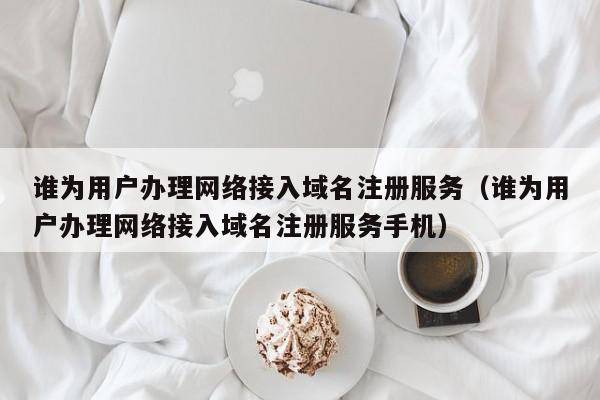 谁为用户办理网络接入域名注册服务（谁为用户办理网络接入域名注册服务手机）