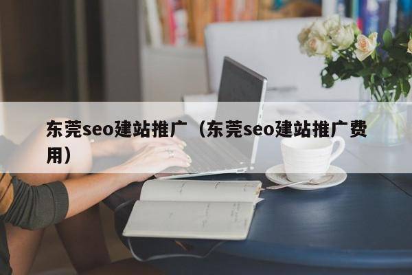 东莞seo建站推广（东莞seo建站推广费用）