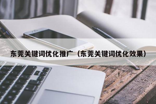 东莞关键词优化推广（东莞关键词优化效果）