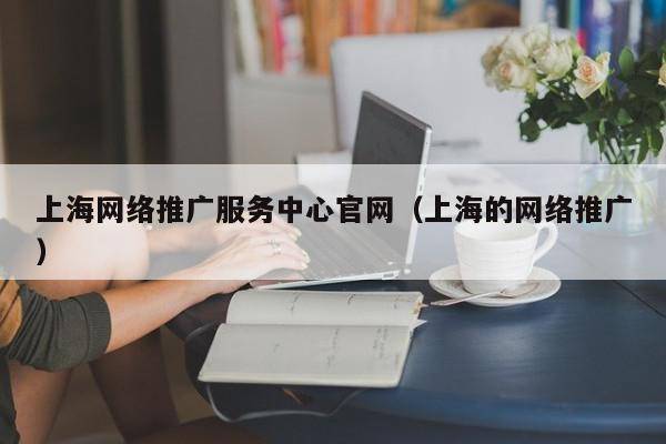 上海网络推广服务中心官网（上海的网络推广）