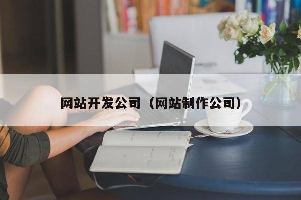 网站开发公司（网站制作公司）