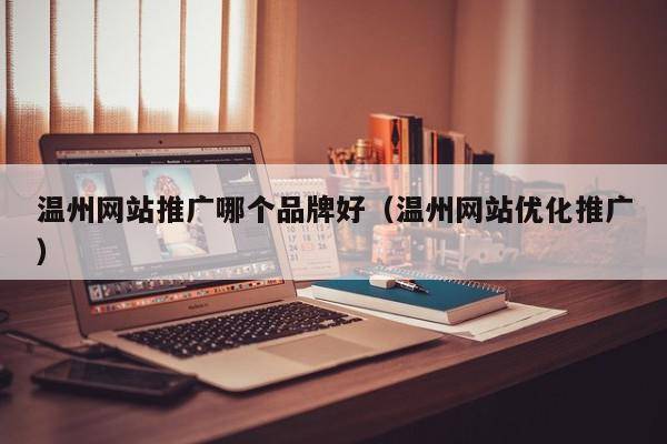 温州网站推广哪个品牌好（温州网站优化推广）