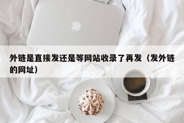 外链是直接发还是等网站收录了再发（发外链的网址）