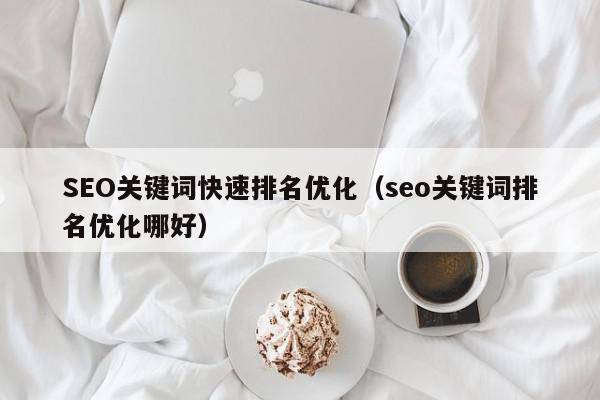 SEO关键词快速排名优化（seo关键词排名优化哪好）