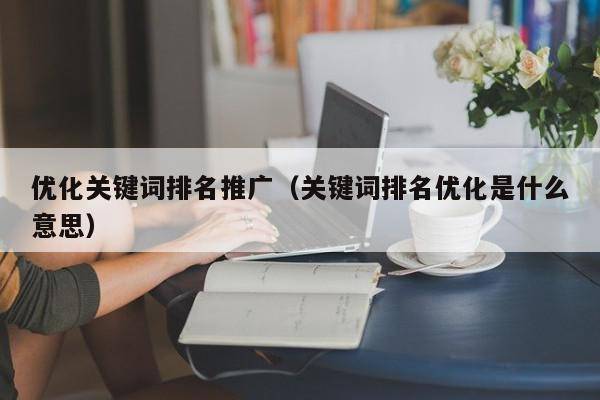 优化关键词排名推广（关键词排名优化是什么意思）